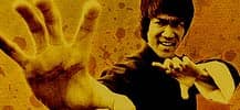 Bruce Lee, Ausschnitt