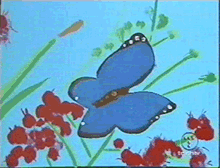 Bild von Stan Murmur Schmetterling