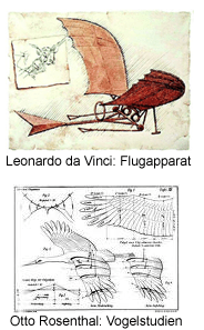 da Vinci, Rosenthal:Skizzen Fliegen