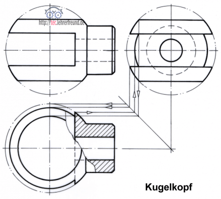 Gabelkopf in drei Ansichten