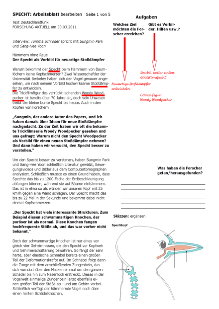 Specht_Unterrichtseinheit_Seite_1