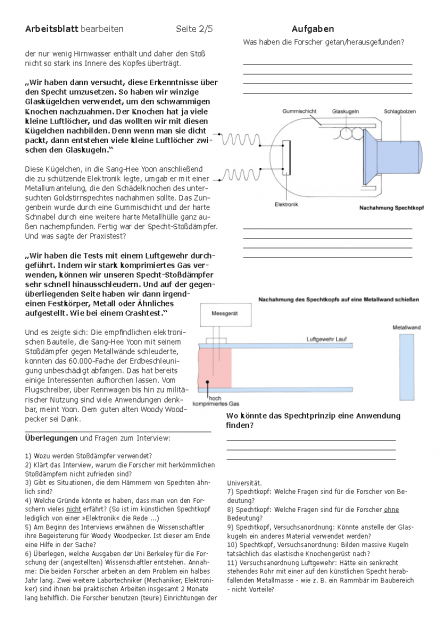 Specht_Unterrichtseinheit_Seite_2