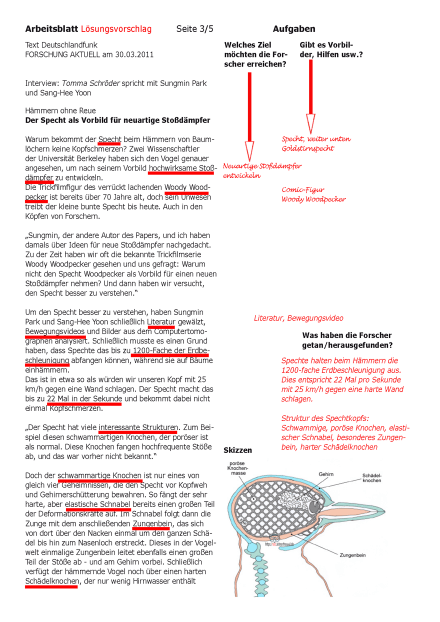 Specht_Unterrichtseinheit_Seite_3