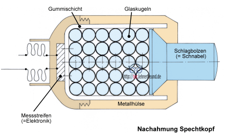 Spechtkopf nachgeahmt Loesung