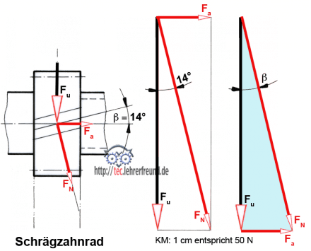 Schraegzahnrad_440.png