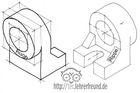 auge_rippe.jpg