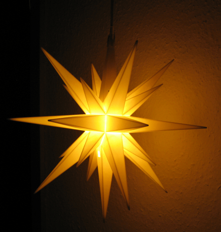 Weihnachtsstern_Foto