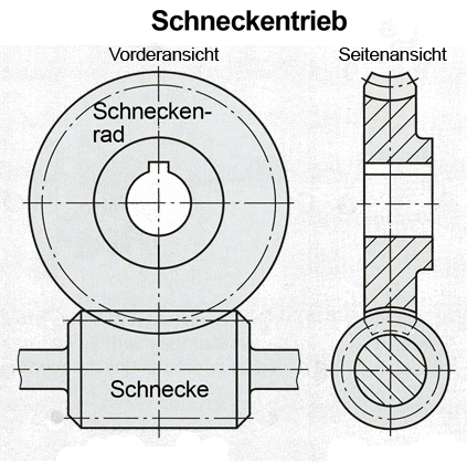 Schnecke und Schneckenrad in Vorderansicht und Seitenansicht