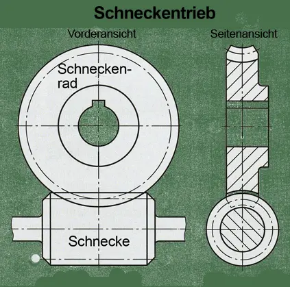 Schnecke und Schneckenrad in Vorderansicht und Seitenansicht