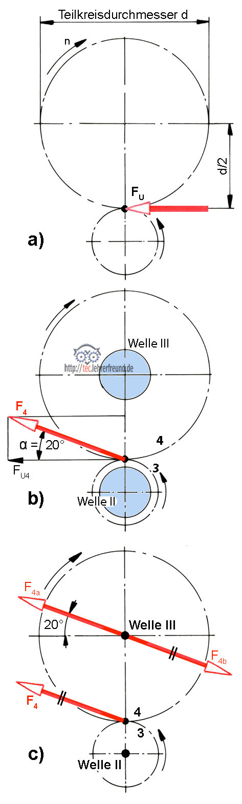 Zweigang-Getriebe: Zahnkräfte und Drehmoente