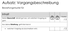 Ausschnitt aus dem Bewertungsbogen zur Vorgangsbeschreibung