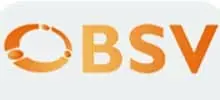 BSV-Logo