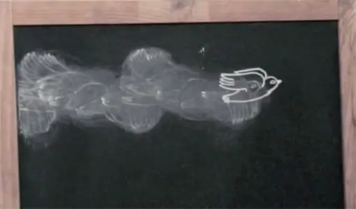 Ausschnitt aus einem Kreidetafel-Stop-Motion-Video