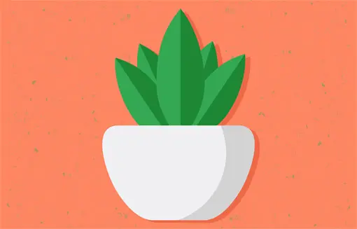 Pflanze (Illustration)