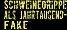Ausschnitt vom Cover des Buches 'Schweinegrippe als Jahrtausend-Fake'