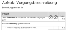 Ausschnitt aus dem Bewertungsbogen zur Vorgangsbeschreibung