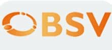 BSV-Logo