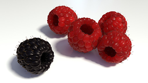 Himbeeren und Brombeeren