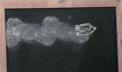 Ausschnitt aus einem Kreidetafel-Stop-Motion-Video