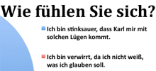 Diagrammausschnitt zur Lehrer-Umfrage, wie man auf Plagiate reagiert