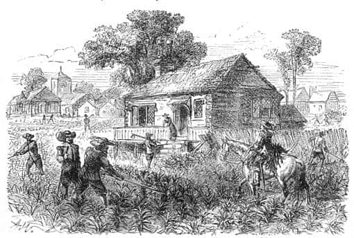 Tabakplantage in Jamestown (USA), 1615, Zeichnung von 1878