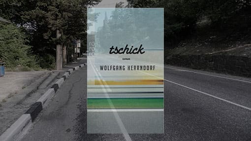 Cover von Herrndorf: Tschick auf Landschaft montiert
