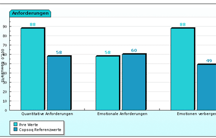 Ausschnitt: Fiktive Ergebnisse eines COPSOQ-Tests