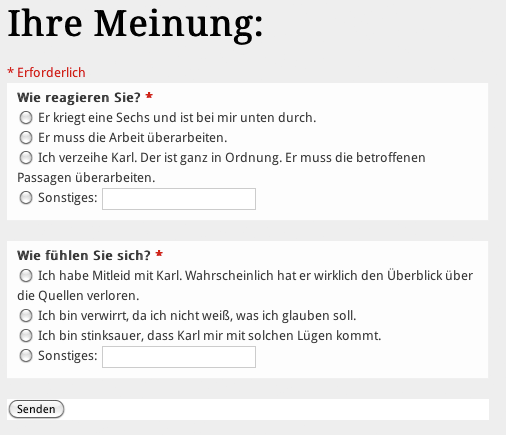 Screenshot: Umfrage-Formular 'Reaktion auf Plagiate von Schülern'