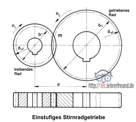 Stirnraeder sind Zahnraeder mit Stirnverzahnung. Andere Zahhnradformen sind Kegelraeder und Schneckenraeder