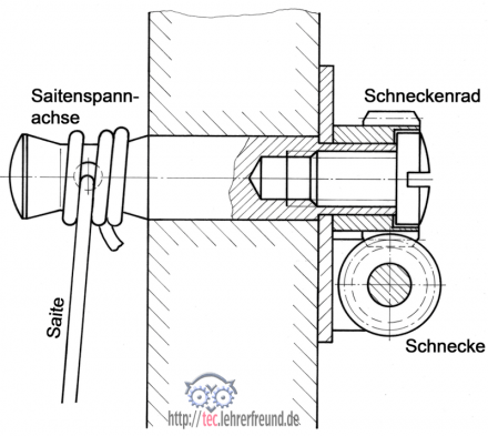 Funktionsweise des Schneckentriebs (anhand einer Zeichnung einer Saitenspanneinrichtung an einer Fidel)