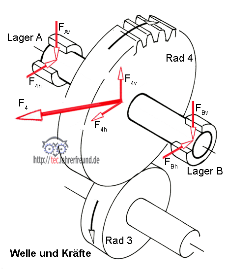 Skizze Zahnradpaar mit Kräften und Drehmomenten