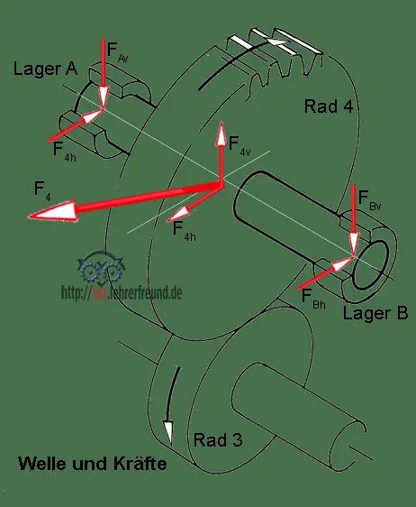 Skizze Zahnradpaar mit Kräften und Drehmomenten