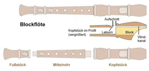 Schemazeichnung Blockflöte, Vorschaubild
